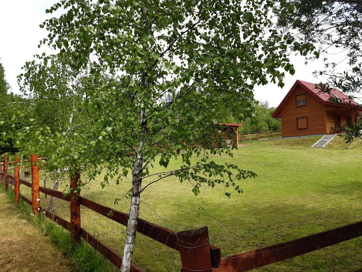 Dom Nad Dolina Sanu Villa Ruszelczyce Eksteriør billede