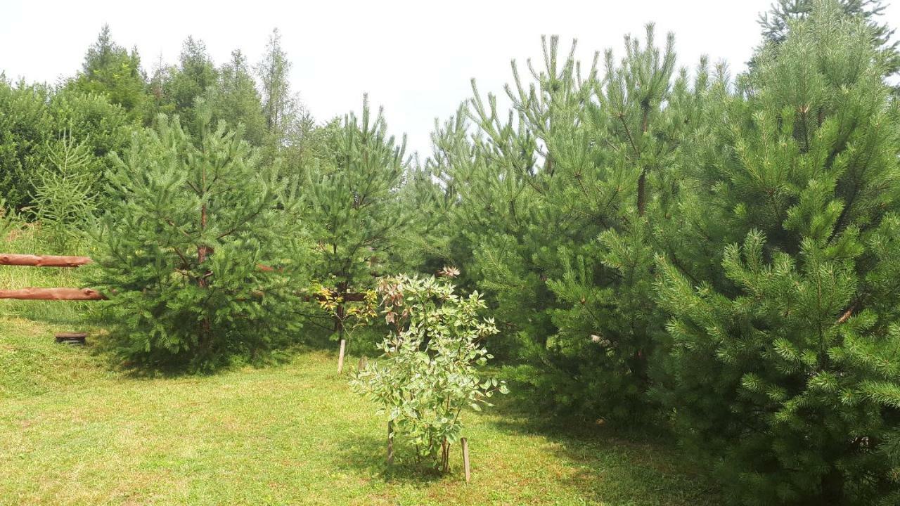 Dom Nad Dolina Sanu Villa Ruszelczyce Eksteriør billede