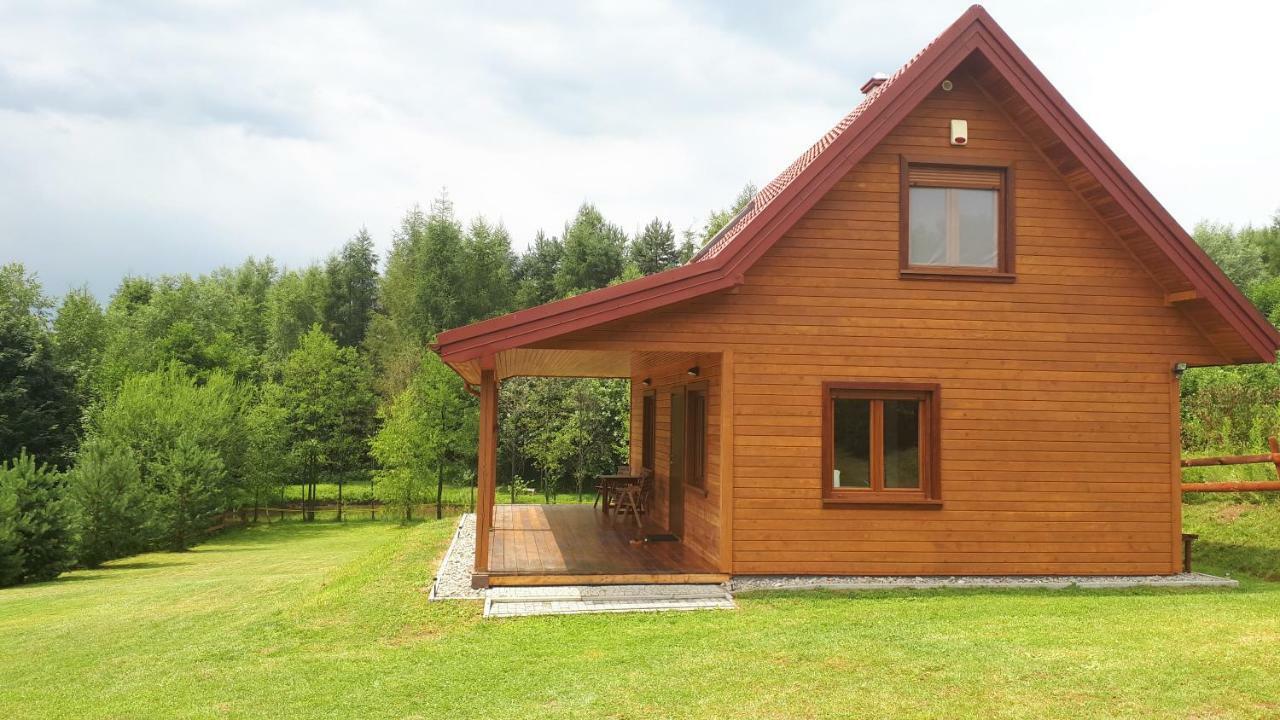Dom Nad Dolina Sanu Villa Ruszelczyce Eksteriør billede
